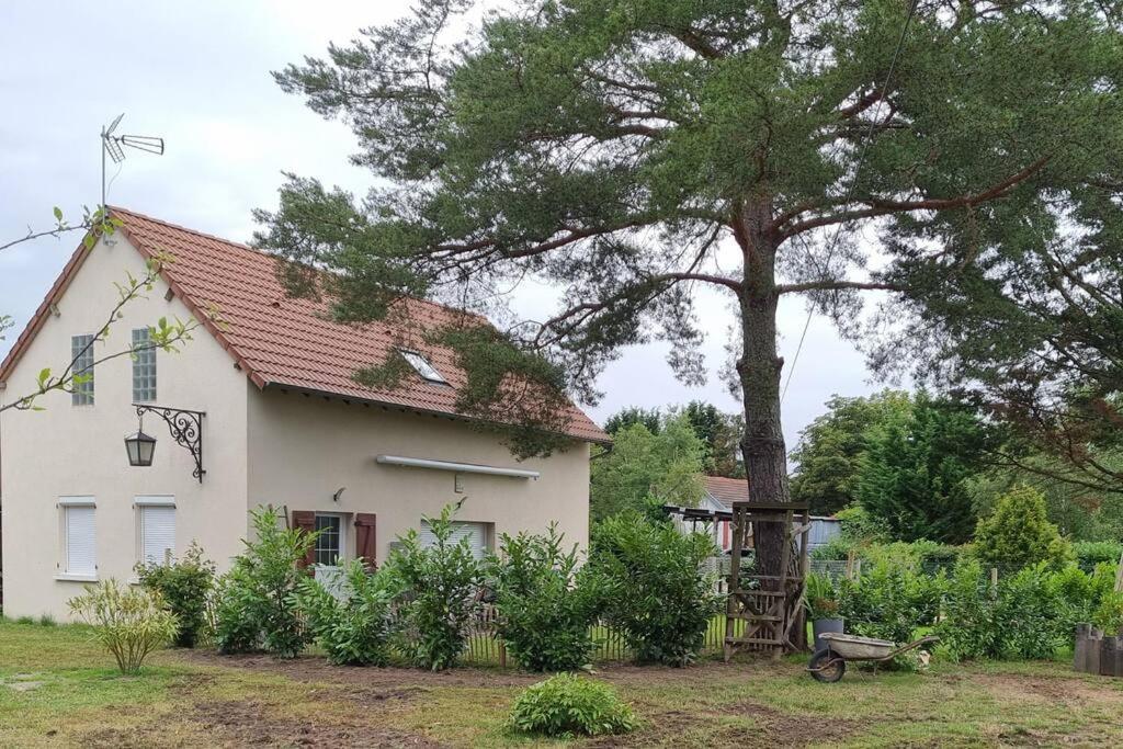 Proche Chateaux Et Zoo De Beauval: Gite De Sologne Pruniers Exterior photo